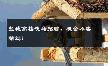 盐城高档夜场招聘，机会不容错过！