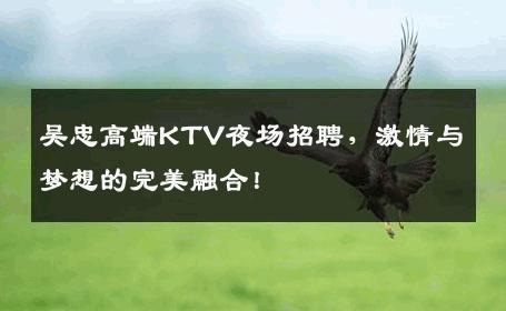 吴忠高端KTV夜场招聘，激情与梦想的完美融合！