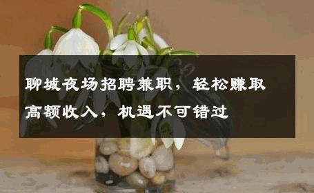 聊城夜场招聘兼职，轻松赚取高额收入，机遇不可错过