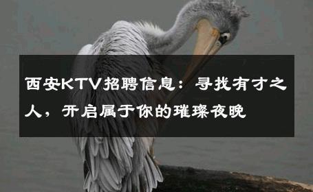 西安KTV招聘信息：寻找有才之人，开启属于你的璀璨夜晚