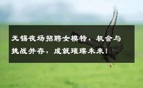 无锡夜场招聘女模特，机会与挑战并存，成就璀璨未来！