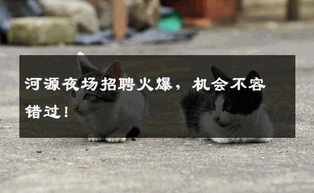 河源夜场招聘火爆，机会不容错过！