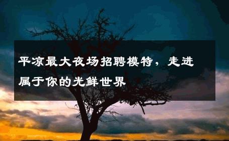 平凉最大夜场招聘模特，走进属于你的光鲜世界