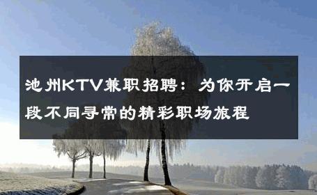 池州KTV兼职招聘：为你开启一段不同寻常的精彩职场旅程