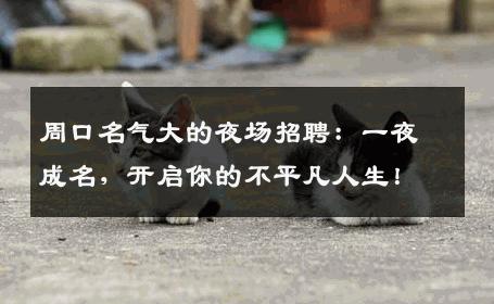 周口名气大的夜场招聘：一夜成名，开启你的不平凡人生！