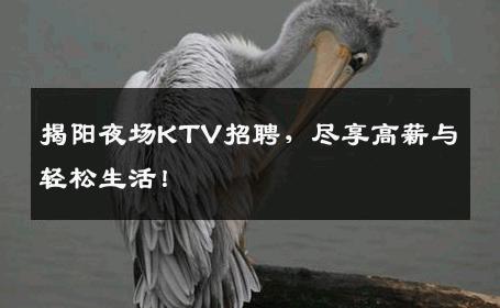 揭阳夜场KTV招聘，尽享高薪与轻松生活！