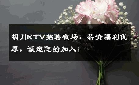 铜川KTV招聘夜场，薪资福利优厚，诚邀您的加入！