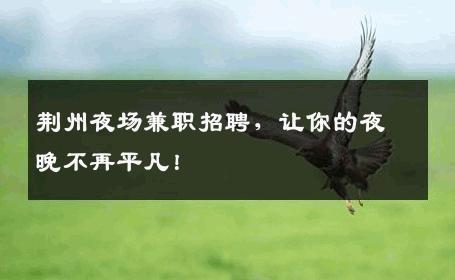 荆州夜场兼职招聘，让你的夜晚不再平凡！