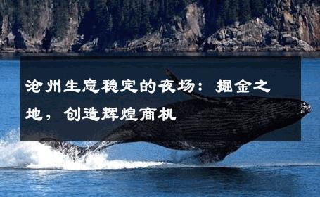 沧州生意稳定的夜场：掘金之地，创造辉煌商机