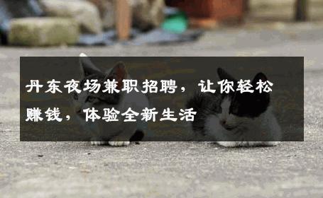 丹东夜场兼职招聘，让你轻松赚钱，体验全新生活