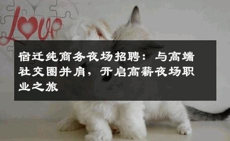 宿迁纯商务夜场招聘：与高端社交圈并肩，开启高薪夜场职业之旅
