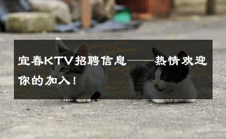 宜春KTV招聘信息——热情欢迎你的加入！