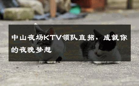 中山夜场KTV领队直招，成就你的夜晚梦想