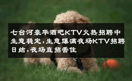 七台河豪华酒吧KTV火热招聘中生意稳定,生意爆满夜场KTV招聘日结,夜场直招管住