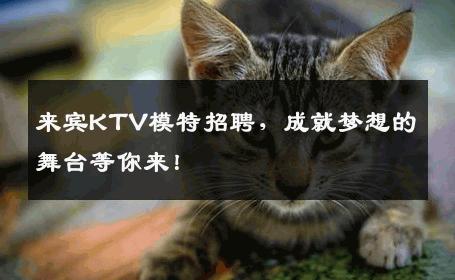 来宾KTV模特招聘，成就梦想的舞台等你来！