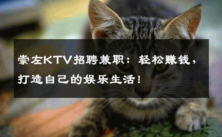 崇左KTV招聘兼职：轻松赚钱，打造自己的娱乐生活！