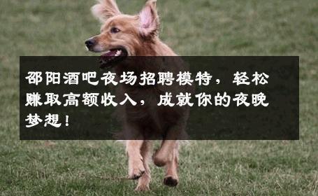 邵阳酒吧夜场招聘模特，轻松赚取高额收入，成就你的夜晚梦想！