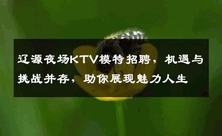 辽源夜场KTV模特招聘，机遇与挑战并存，助你展现魅力人生