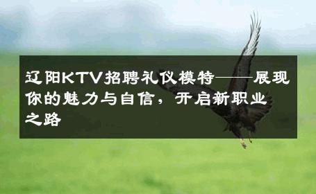 辽阳KTV招聘礼仪模特——展现你的魅力与自信，开启新职业之路