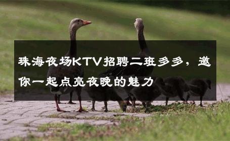 珠海夜场KTV招聘二班多多，邀你一起点亮夜晚的魅力