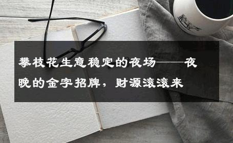 攀枝花生意稳定的夜场——夜晚的金字招牌，财源滚滚来