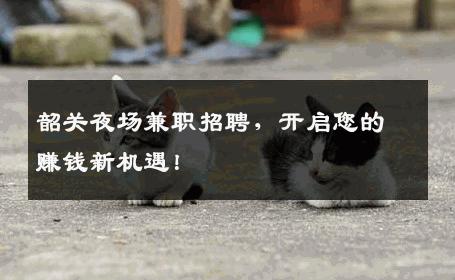 韶关夜场兼职招聘，开启您的赚钱新机遇！
