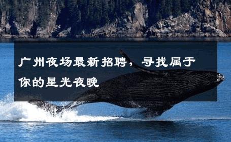 广州夜场最新招聘，寻找属于你的星光夜晚