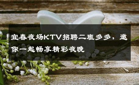 宜春夜场KTV招聘二班多多，邀你一起畅享精彩夜晚