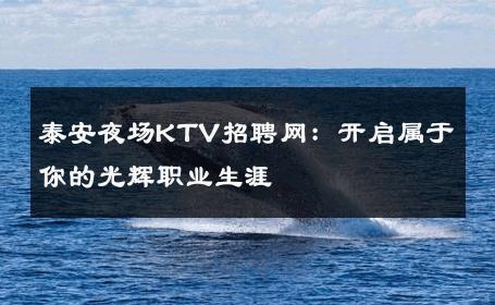 泰安夜场KTV招聘网：开启属于你的光辉职业生涯