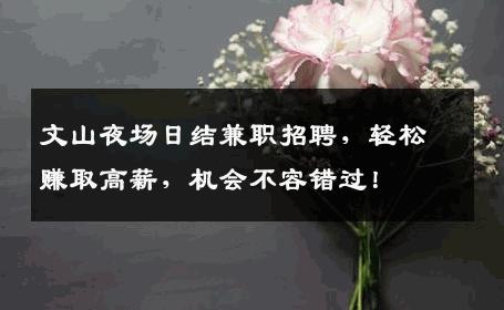 文山夜场日结兼职招聘，轻松赚取高薪，机会不容错过！