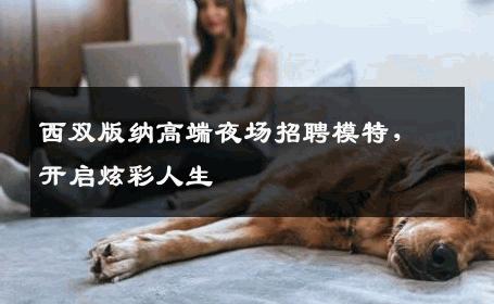 西双版纳高端夜场招聘模特，开启炫彩人生
