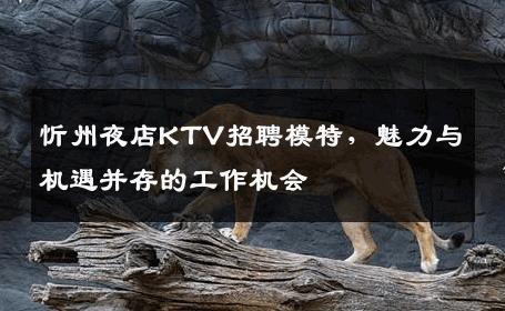 忻州夜店KTV招聘模特，魅力与机遇并存的工作机会