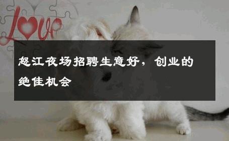怒江夜场招聘生意好，创业的绝佳机会