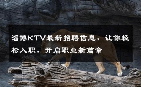 淄博KTV最新招聘信息，让你轻松入职，开启职业新篇章