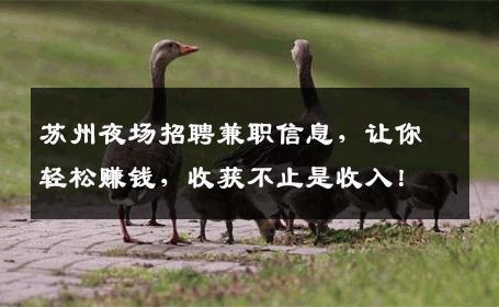 苏州夜场招聘兼职信息，让你轻松赚钱，收获不止是收入！