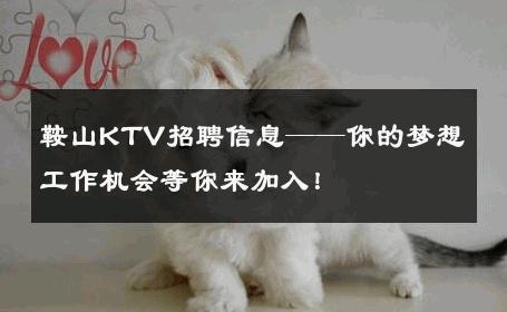 鞍山KTV招聘信息——你的梦想工作机会等你来加入！