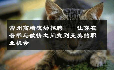 常州高端夜场招聘——让你在奢华与激情之间找到完美的职业机会