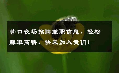 营口夜场招聘兼职信息，轻松赚取高薪，快来加入我们！