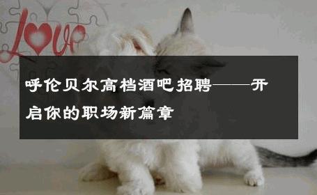 呼伦贝尔高档酒吧招聘——开启你的职场新篇章