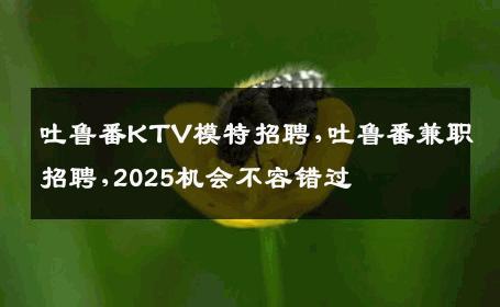 吐鲁番KTV模特招聘,吐鲁番兼职招聘,2025机会不容错过