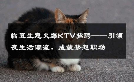 临夏生意火爆KTV招聘——引领夜生活潮流，成就梦想职场