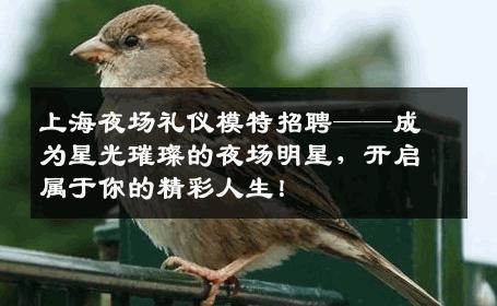 上海夜场礼仪模特招聘——成为星光璀璨的夜场明星，开启属于你的精彩人生！