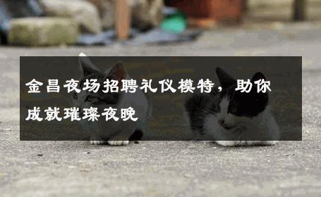 金昌夜场招聘礼仪模特，助你成就璀璨夜晚