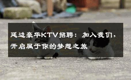 延边豪华KTV招聘：加入我们，开启属于你的梦想之旅
