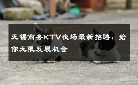 无锡商务KTV夜场最新招聘，给你无限发展机会