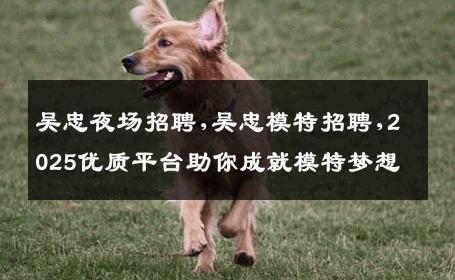 吴忠夜场招聘,吴忠模特招聘,2025优质平台助你成就模特梦想