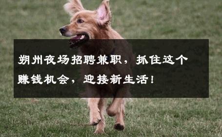 朔州夜场招聘兼职，抓住这个赚钱机会，迎接新生活！