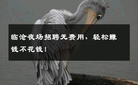 临沧夜场招聘无费用，轻松赚钱不花钱！