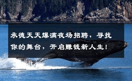 承德天天爆满夜场招聘，寻找你的舞台，开启赚钱新人生！