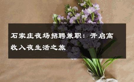 石家庄夜场招聘兼职：开启高收入夜生活之旅